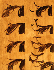 Crows in Tails for Scorpio