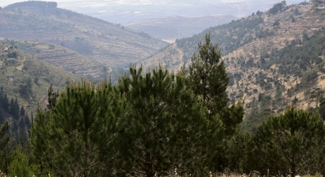 The Day With Rav Brody-89 (470x257)