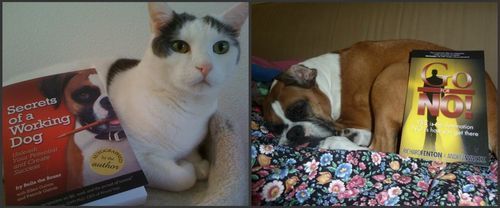 Courage & Bella Book Promoters