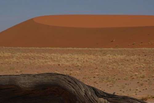 Deadvlei