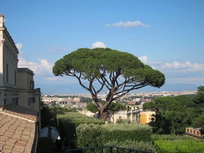 IMG_1549