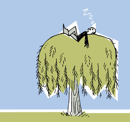 Sleeping Willow