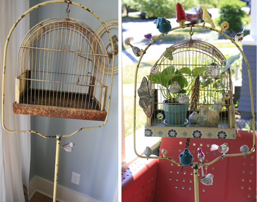 birdcage before and after
