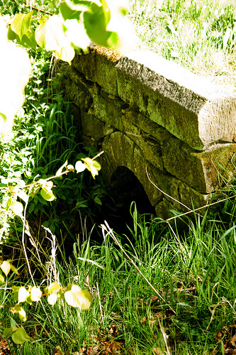 Hidden Bridge