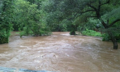 Hurricane Irene - NCR Trail