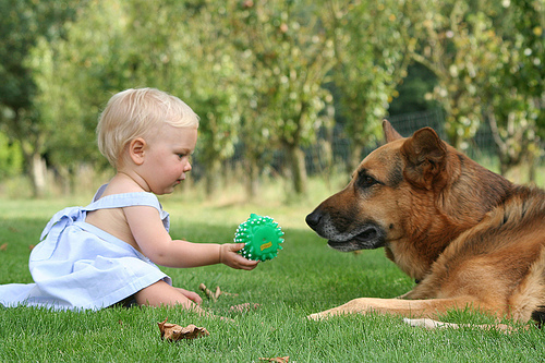 Baby & Dog