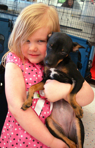 Adopting a new friend?