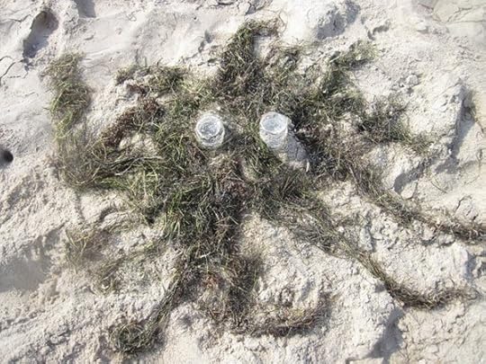 grassbottles