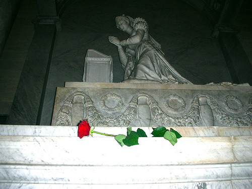 A rose for Josephine.