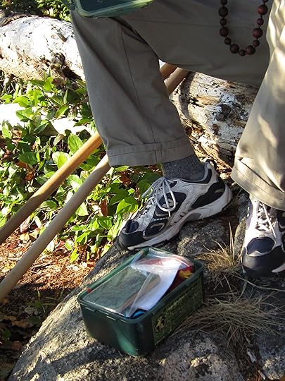 geocaching, geocache, Lighthouse Park, hidden treasures