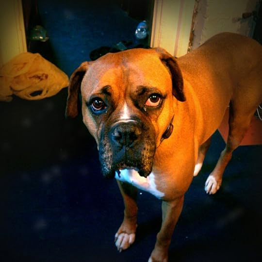 210593_10150148406404087_684254086_6714135_6382687_o (1)