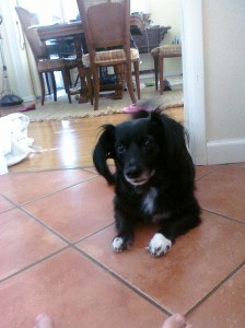 Riley