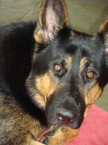 DSC00009