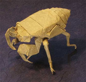 Cicada Nymph by Satoshi Kamiya, folded by Jon Tucker using O-Gami paper