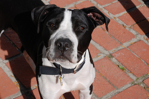 Seamus Wheaton