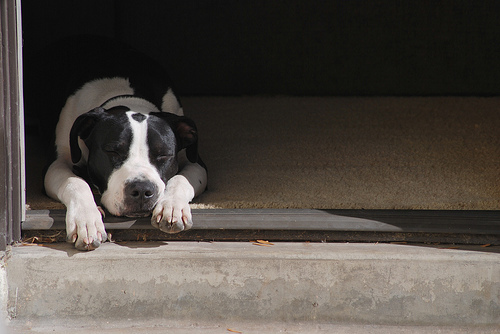 Seamus