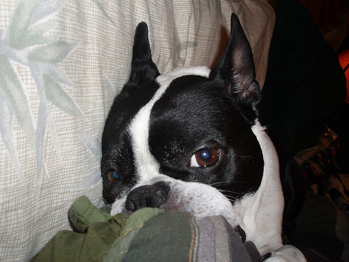 Virginia feeling sleepy