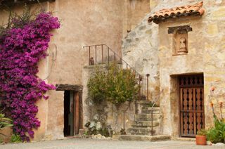 IStock_000017744688XSmall