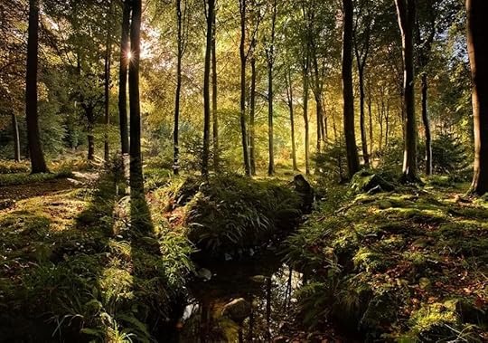 image courtesy of photobucket.com