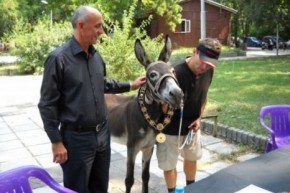 donkeymayor Jackass Runs For Mayor funny dog blog