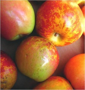 13-apples