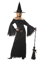 Elegant Witch Adult Costume
