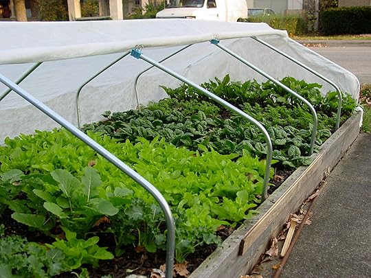 hoop house