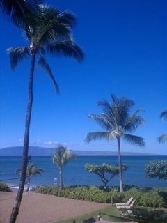 Maui View