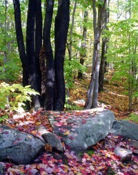 Mount Major