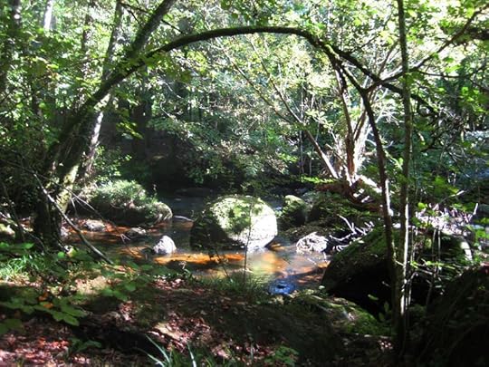 River5