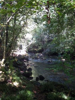 River2