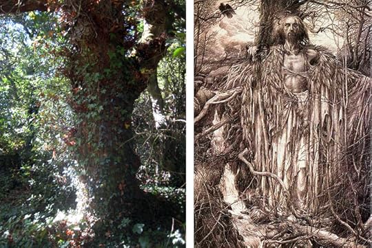 Tree elder (photograph) and Merlin by Alan Lee (pencil drawing)