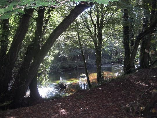 The River Teign 3