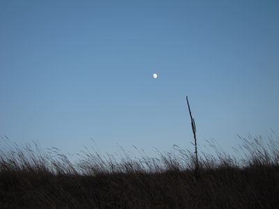 IMG_3769