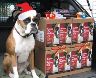 Secret Seasons Greetings