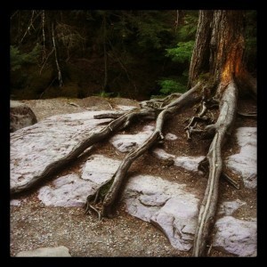 Glacier National Park