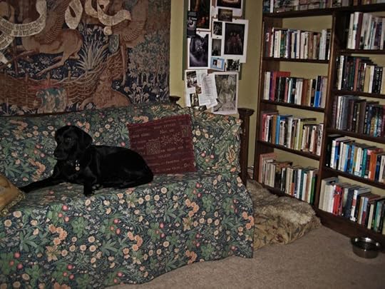 Tilly's spot on the office side of the studio
