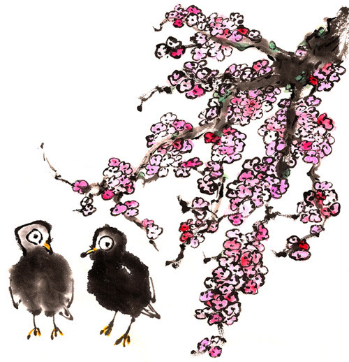 funnybirds1a
