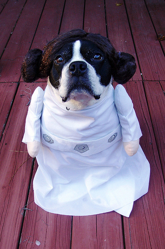 Virginia as Princess Leia Halloween 2011