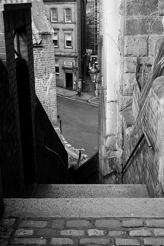 Dog Leap Stairs