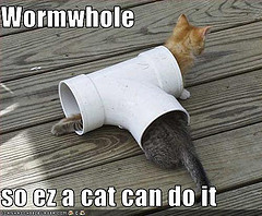 Wormwhole Lolcat