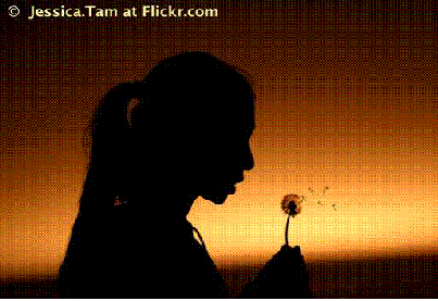 clip_image002