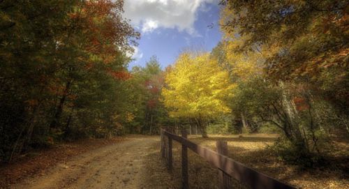 Autumnscene2010