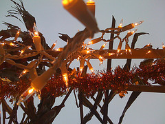 closeup of the roof of our sukkah