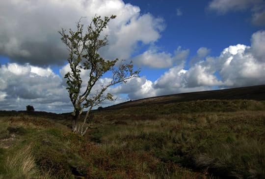 Dartmoor
