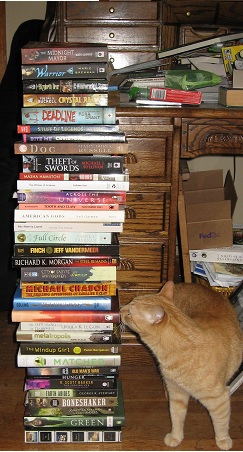 ARC pile 2