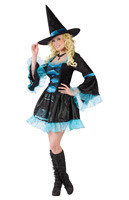 Sassy Victorian Witch Adult Costume