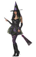 Rebel Toons Wicked Witch of the West Adult Costume