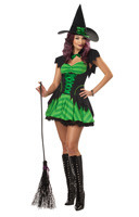 Hocus Pocus Adult Costume