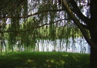 clip_image002
